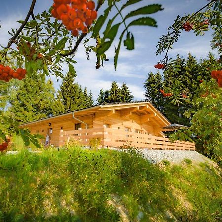 Das Wistlberg Wohlfuehlchalet Mauth Exterior foto