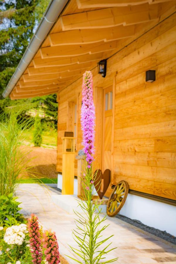 Das Wistlberg Wohlfuehlchalet Mauth Exterior foto